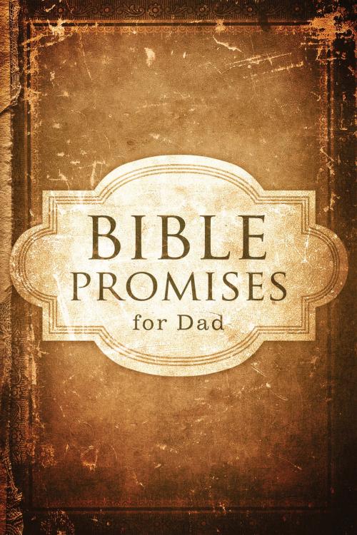 Cover of the book Bible Promises for Dad by Mary Grace Birkhead, B&H Publishing Group