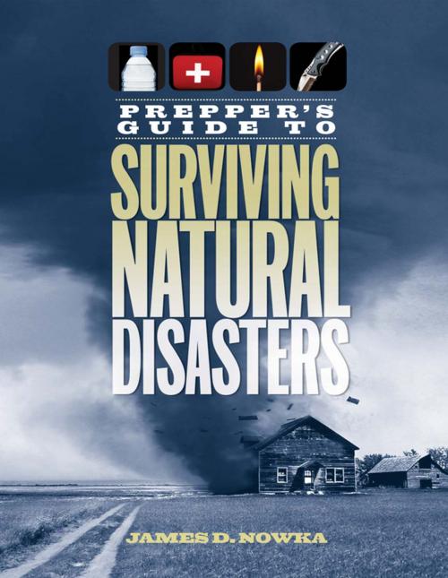 Cover of the book Prepper's Guide to Surviving Natural Disasters by James D. Nowka, F+W Media