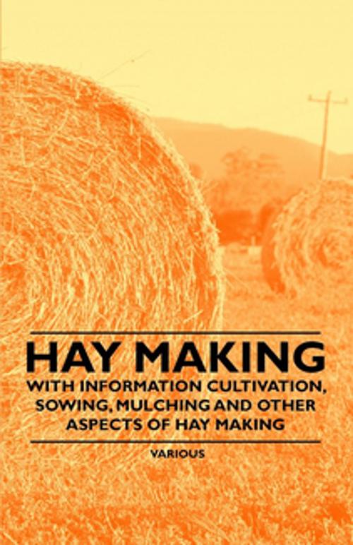 Cover of the book Hay Making - With Information Cultivation, Sowing, Mulching and Other Aspects of Hay Making by Various Authors, Read Books Ltd.