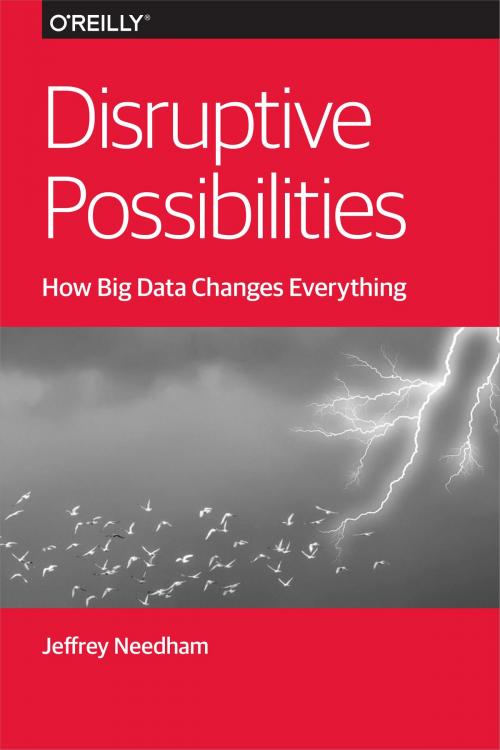 Cover of the book Disruptive Possibilities: How Big Data Changes Everything by Jeffrey Needham, O'Reilly Media