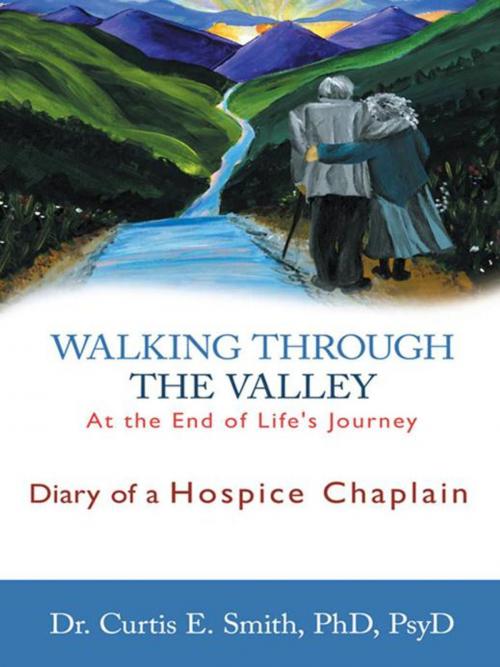 Cover of the book Walking Through the Valley by Dr. Curtis E. Smith, WestBow Press