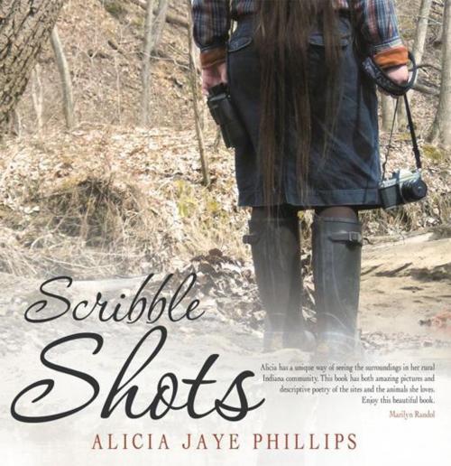 Cover of the book Scribble Shots by Alicia Jaye Phillips, WestBow Press