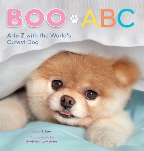 Cover of the book Boo ABC by J.H. Lee, Chronicle Books LLC
