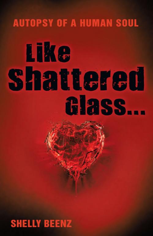 Cover of the book Like Shattered Glass... by ShellyBeenz, Balboa Press