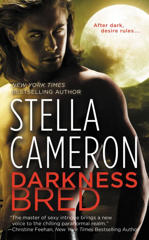 Cover of the book Darkness Bred by Stella Cameron, Grand Central Publishing