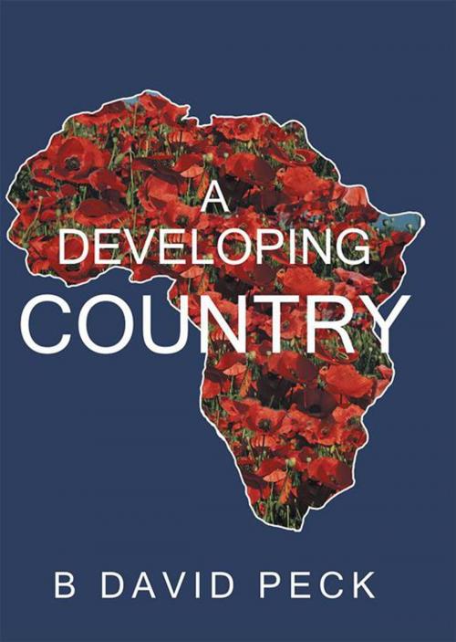 Cover of the book A Developing Country by B David Peck, Abbott Press