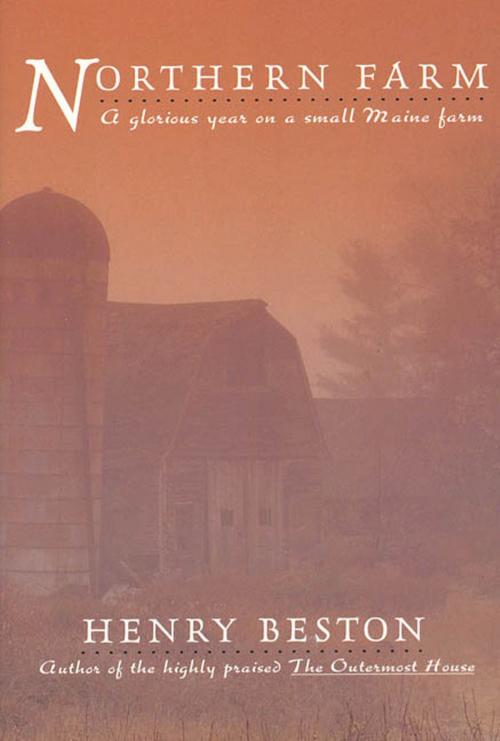 Cover of the book The Northern Farm by Henry Beston, Henry Holt and Co.