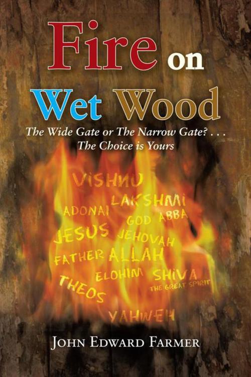 Cover of the book Fire on Wet Wood by John Edward Farmer, Trafford Publishing