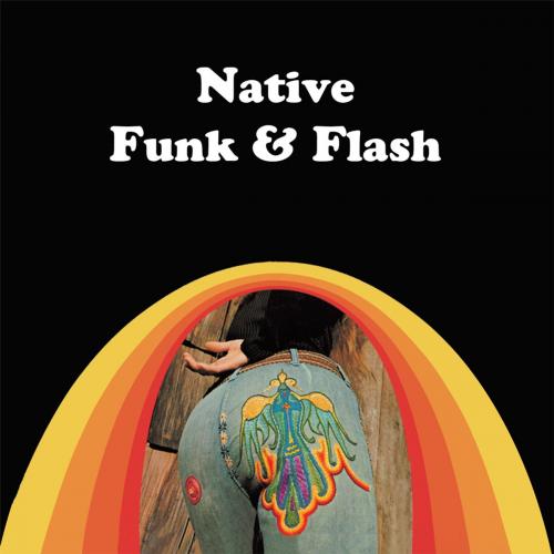 Cover of the book Native Funk & Flash by Alexandra Jacopetti Hart, Trafford Publishing