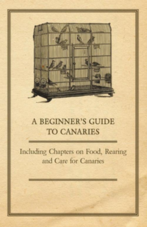 Cover of the book A Beginner's Guide to Canaries - Including Chapters on Food, Rearing and Care for Canaries by Anon, Read Books Ltd.