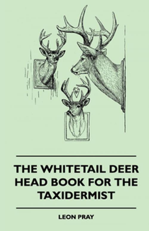 Cover of the book The Whitetail Deer Head Book for the Taxidermist by Leon Pray, Read Books Ltd.