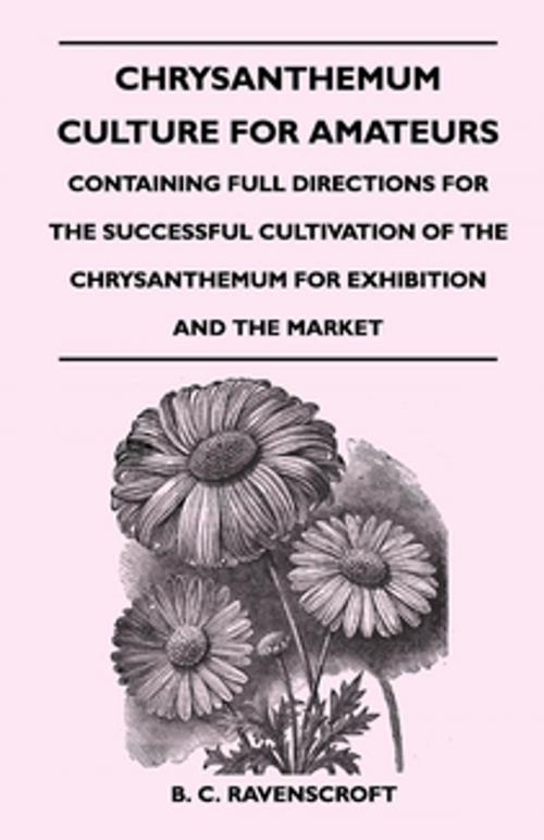 Cover of the book Chrysanthemum Culture For Amateurs: Containing Full Directions For the Successful Cultivation of the Chrysanthemum For Exhibition and the Market by B. C. Ravenscroft, Read Books Ltd.
