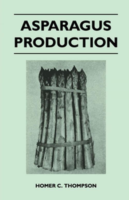 Cover of the book Asparagus Production by Homer C. Thompson, Read Books Ltd.