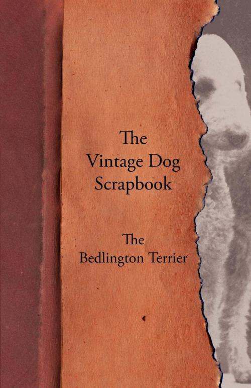 Cover of the book The Vintage Dog Scrapbook - The Bedlington Terrier by Various, Read Books Ltd.