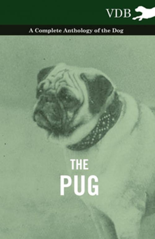 Cover of the book The Pug - A Complete Anthology of the Dog by Various, Read Books Ltd.