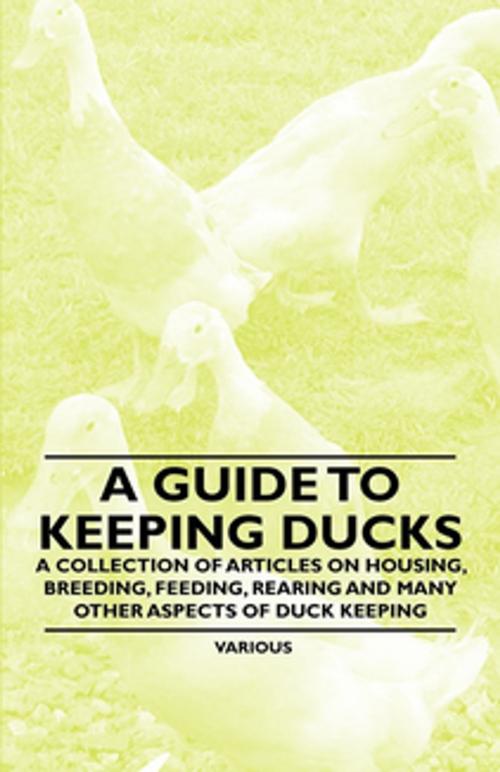 Cover of the book A Guide to Keeping Ducks - A Collection of Articles on Housing, Breeding, Feeding, Rearing and Many Other Aspects of Duck Keeping by Various Authors, Read Books Ltd.
