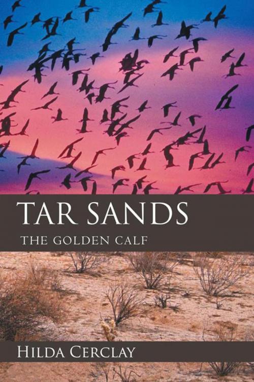Cover of the book Tar Sands by Hilda Cerclay, iUniverse