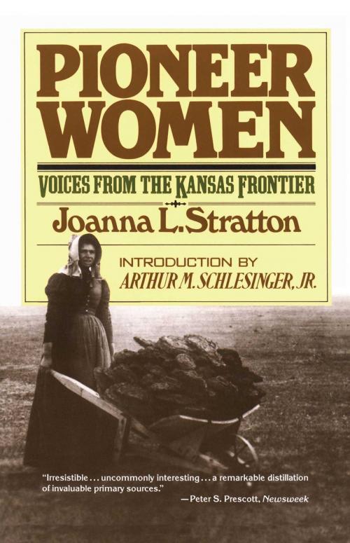 Cover of the book Pioneer Women by Joanna Stratton, Touchstone