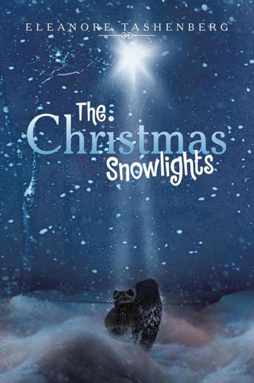 Cover of the book The Christmas Snowlights by Eleanore Tashenberg, Xlibris US