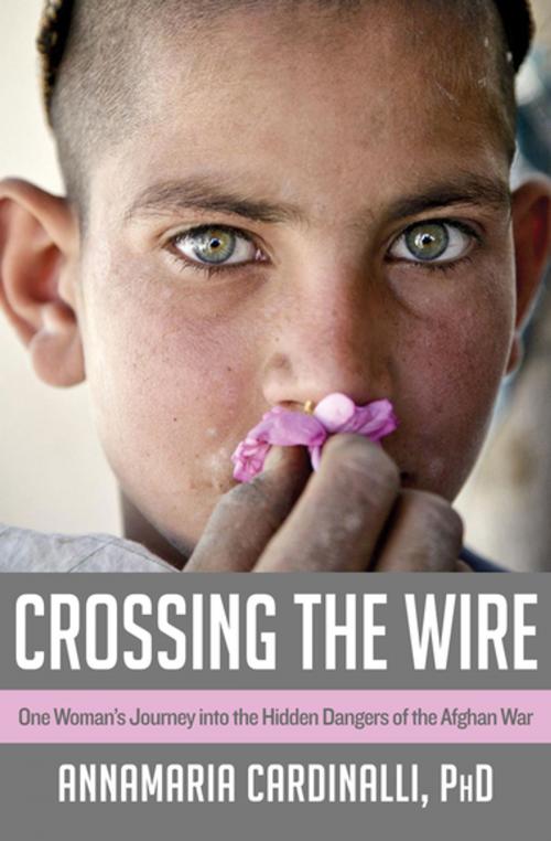 Cover of the book Crossing the Wire by AnnaMaria Cardinalli, PhD, Open Road Media