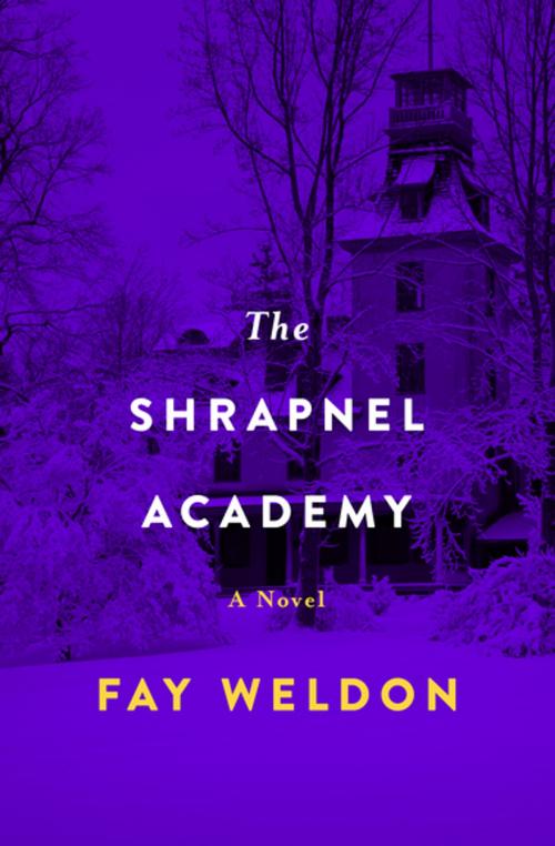 Cover of the book The Shrapnel Academy by Fay Weldon, Open Road Media