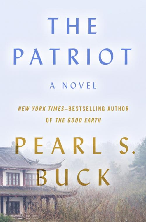 Cover of the book The Patriot by Pearl S. Buck, Open Road Media