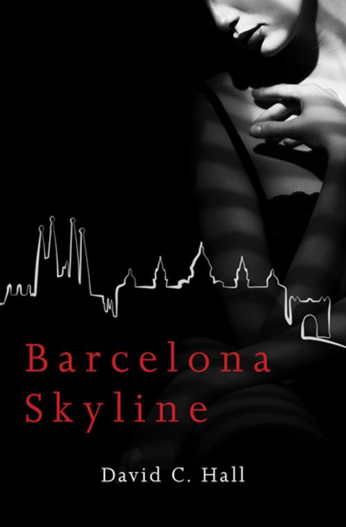 Cover of the book Barcelona Skyline by David C. Hall, Barcelona Digital Editions