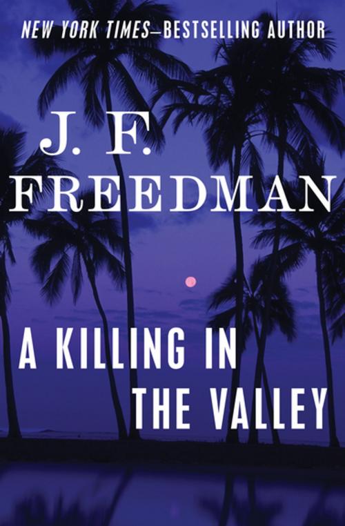 Cover of the book A Killing in the Valley by J. F. Freedman, Open Road Media