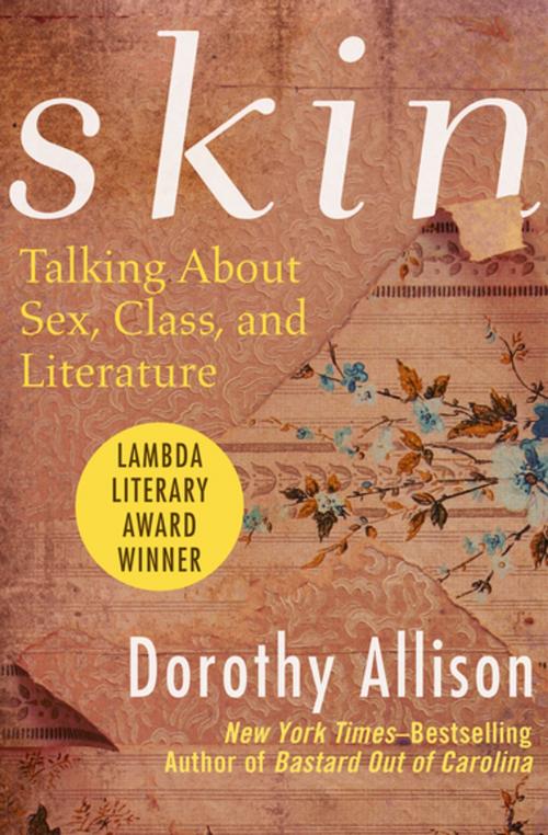 Cover of the book Skin by Dorothy Allison, Open Road Media
