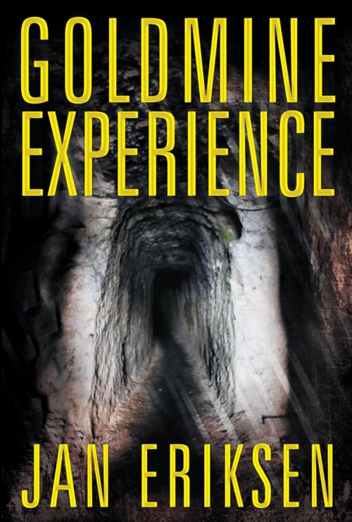 Cover of the book Goldmine Experience by Jan Eriksen, Archway Publishing