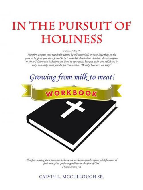Cover of the book In the Pursuit of Holiness by Calvin L. McCullough Sr., AuthorHouse