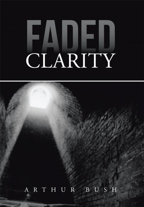 Cover of the book Faded Clarity by Arthur Bush, AuthorHouse