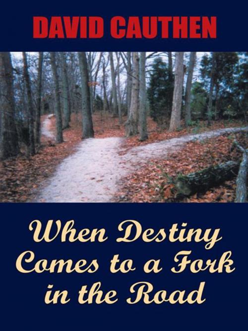 Cover of the book When Destiny Comes to a Fork in the Road by David Cauthen, AuthorHouse