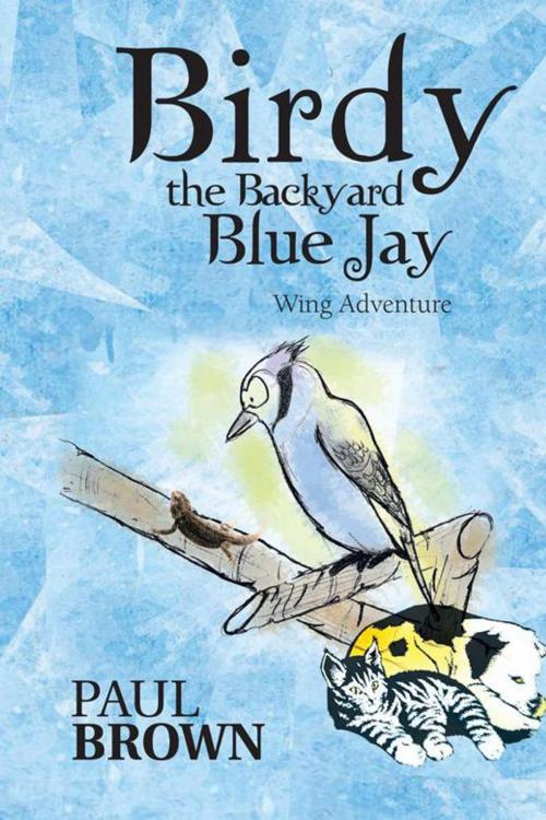 Cover of the book Birdy the Backyard Blue Jay by Paul Brown, AuthorHouse