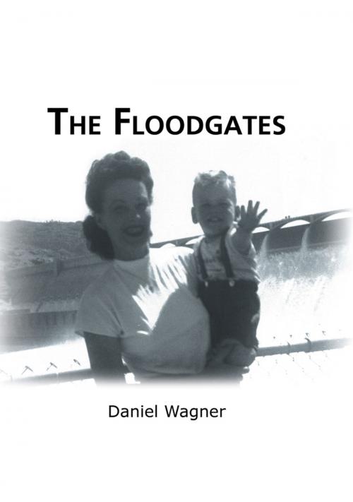 Cover of the book The Floodgates by Daniel Wagner, AuthorHouse