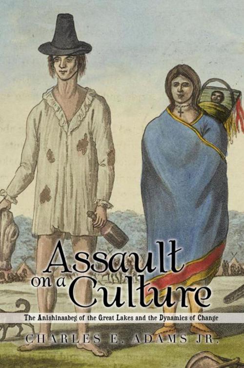 Cover of the book Assault on a Culture by Charles E. Adams, Xlibris US