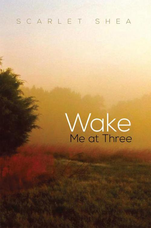 Cover of the book Wake Me at Three by Scarlet Shea, Xlibris US