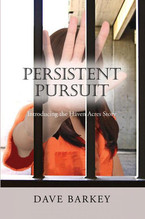 Cover of the book Persistent Pursuit by Dave Barkey, Xlibris US