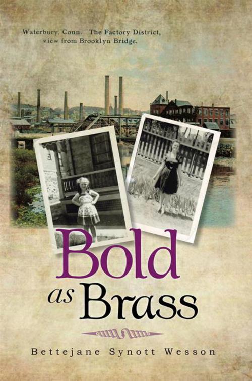 Cover of the book Bold as Brass by Bettejane Synott Wesson, Xlibris US