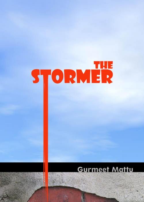 Cover of the book The Stormer by Gurmeet Mattu, Eroticafe