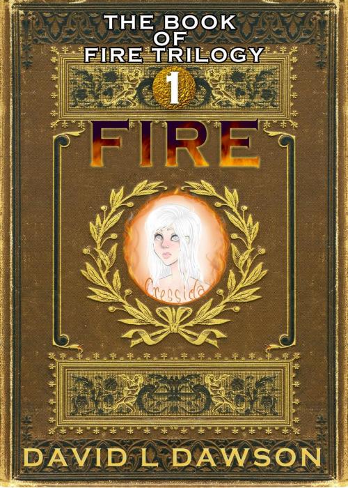 Cover of the book Fire by David Dawson, David Dawson