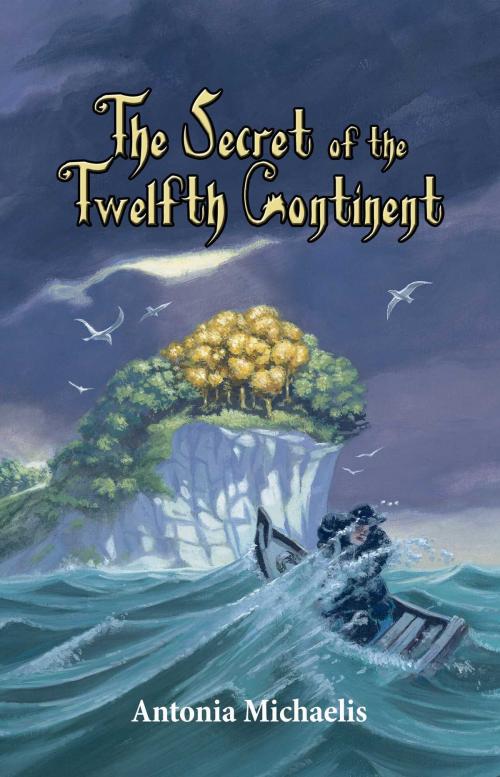 Cover of the book The Secret of the Twelfth Continent by Antonia Michaelis, Sky Pony