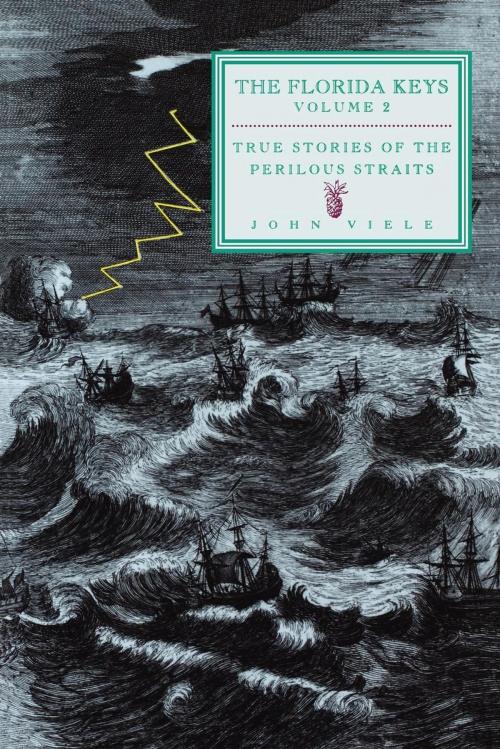 Cover of the book True Stories of the Perilous Straits by John Viele, Pineapple Press