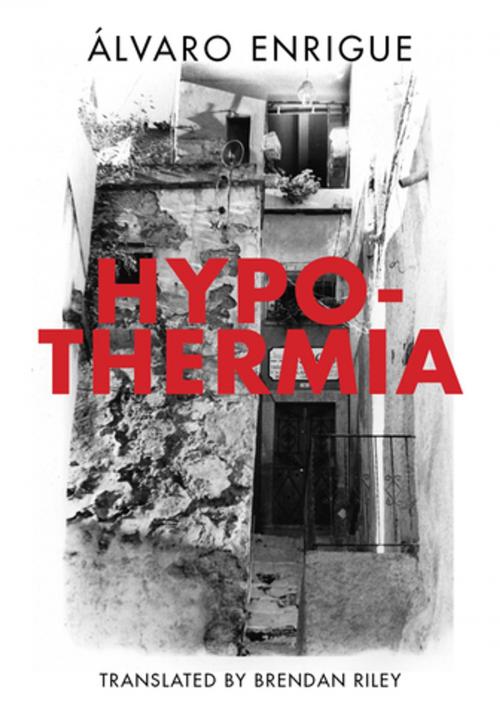 Cover of the book Hypothermia by Alvaro Enrigue, Dalkey Archive Press