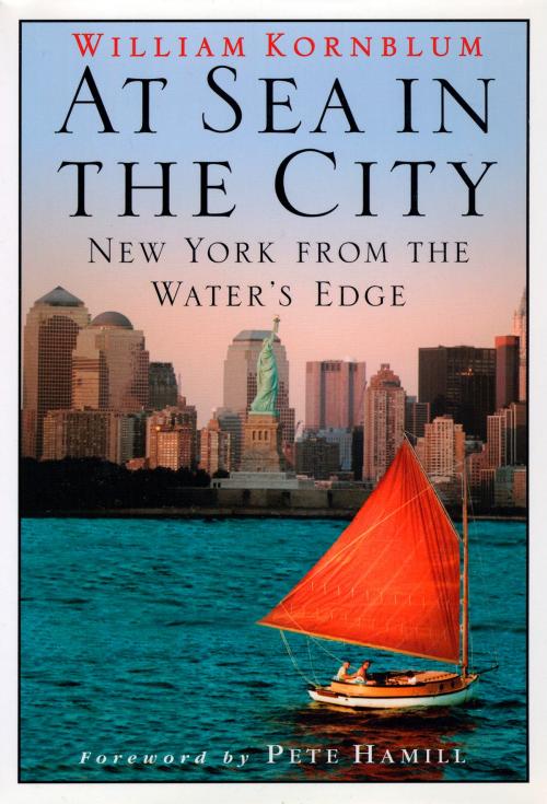 Cover of the book At Sea in the City by William Kornblum, Algonquin Books