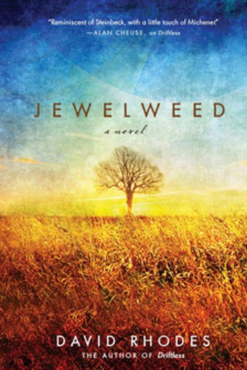 Cover of the book Jewelweed by David Rhodes, Milkweed Editions