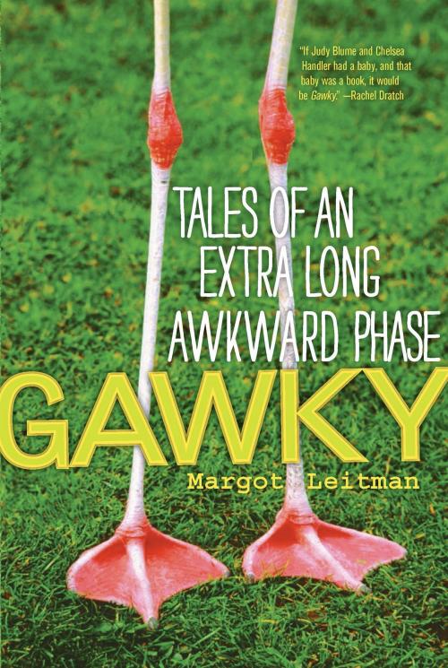 Cover of the book Gawky by Margot Leitman, Basic Books
