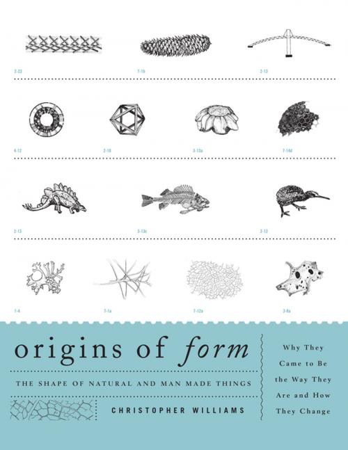 Cover of the book Origins of Form by Christopher Williams, Architectural Book Publishing