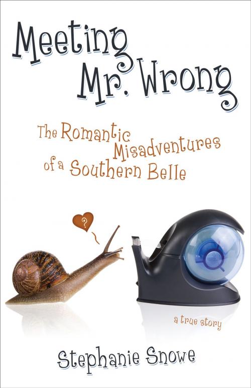 Cover of the book Meeting Mr. Wrong by Stephanie Snowe, Inkwater Press