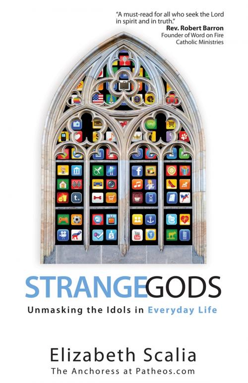 Cover of the book Strange Gods by Elizabeth Scalia, Ave Maria Press
